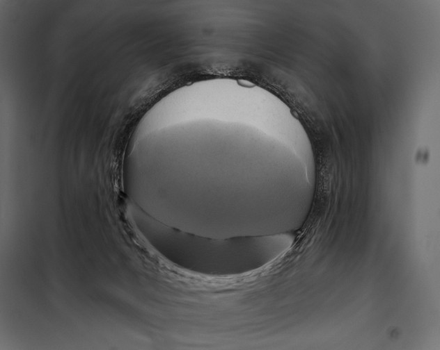 X0000098070031200804251448