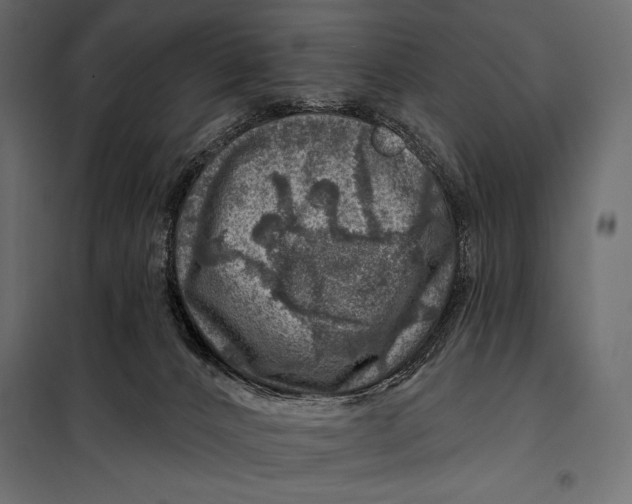 X0000098070032200804251448