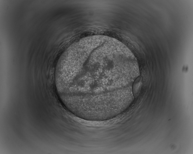 X0000098070034200804251448