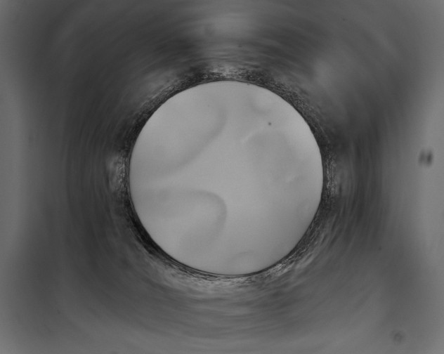 X0000098070036200804251448