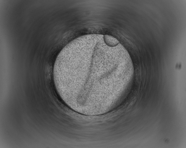 X0000098070038200804251448