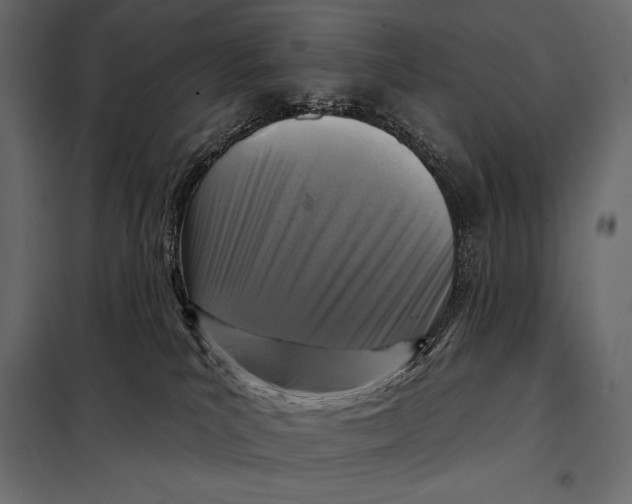 X0000098070039200804251448