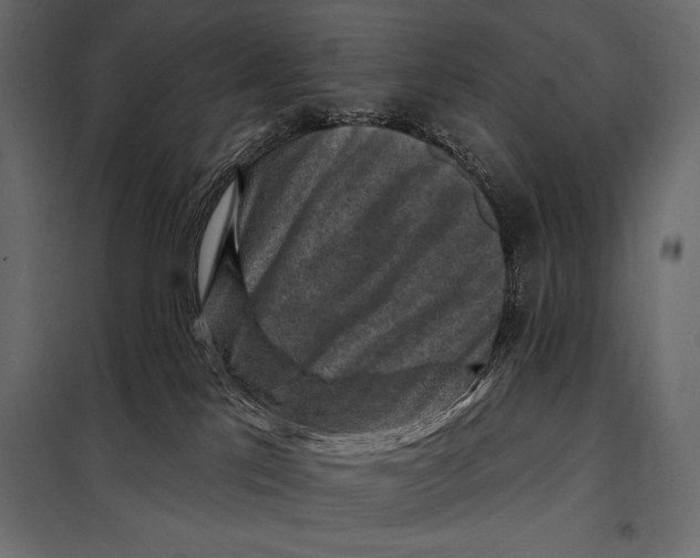 X0000098070041200804251448