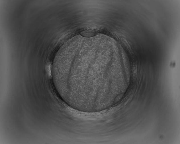 X0000098070042200804251448