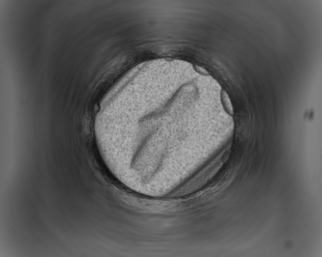 X0000098070044200804251448