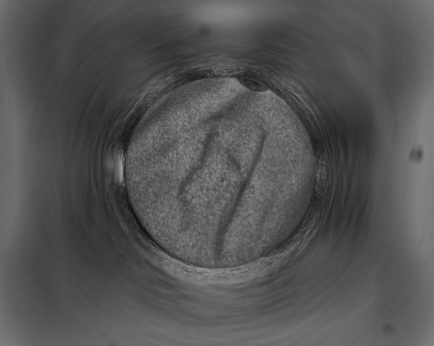 X0000098070046200804251448