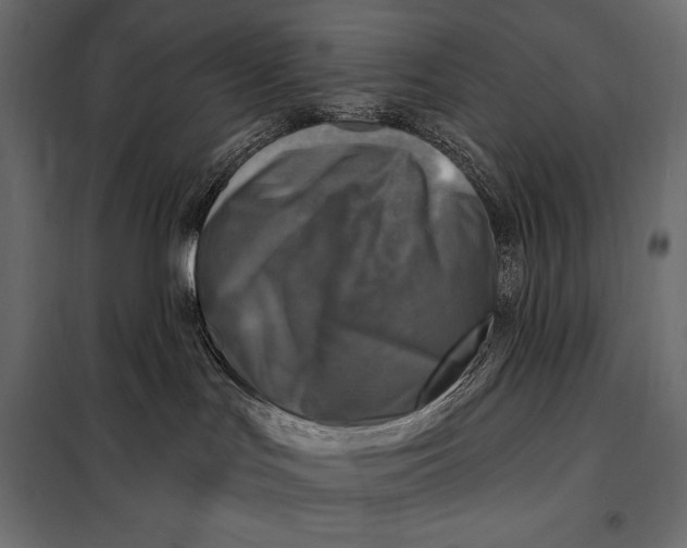 X0000098070047200804251448