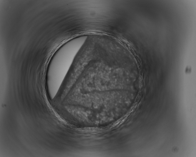 X0000098070049200804251448