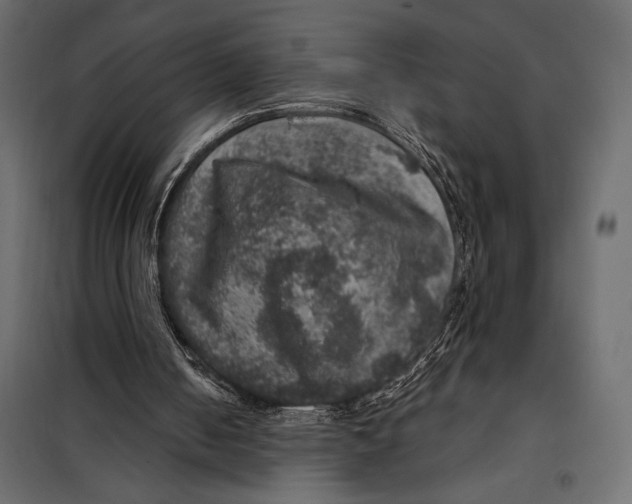 X0000098070050200804251448