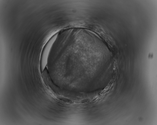 X0000098070052200804251448