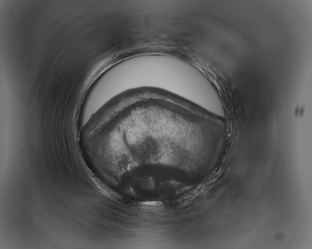 X0000098070053200804251448