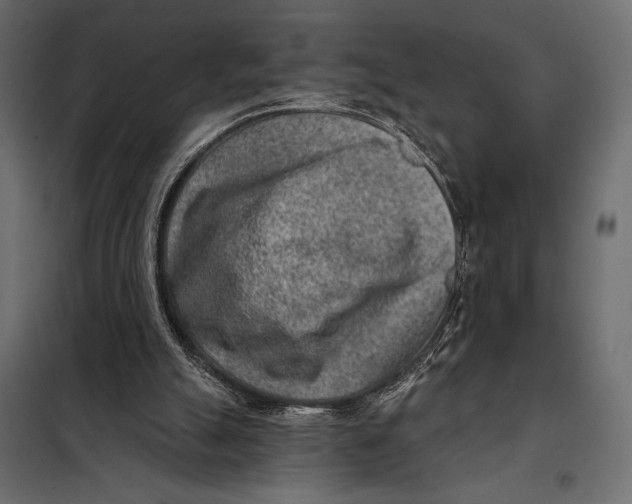 X0000098070055200804251448