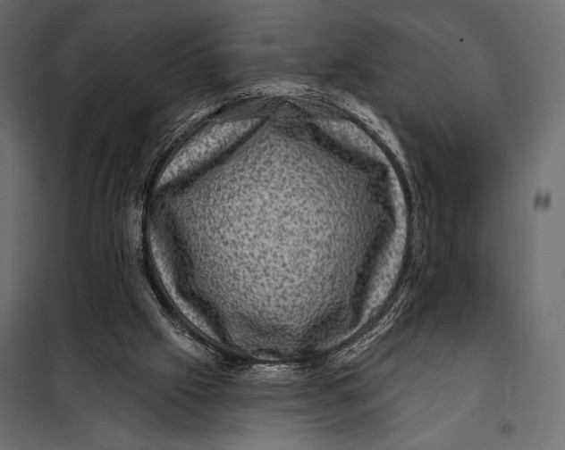 X0000098070057200804251448