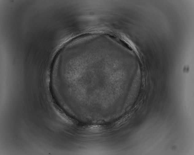 X0000098070059200804251448