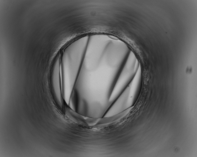 X0000098070060200804251448