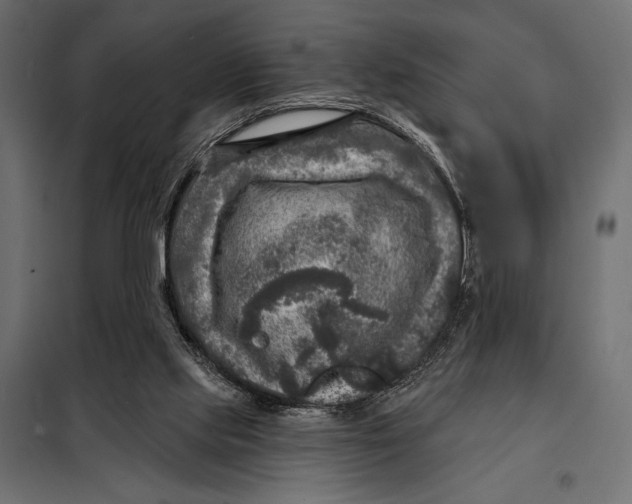 X0000098070061200804251448