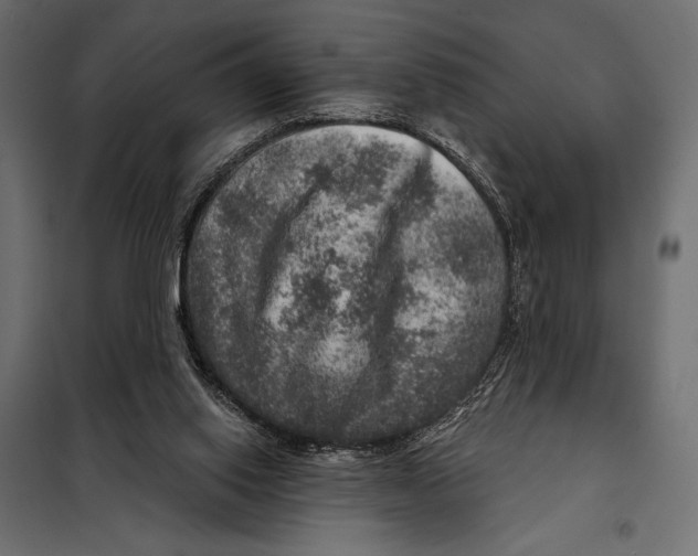 X0000098070062200804251448