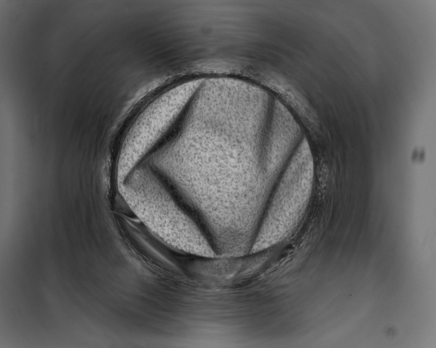 X0000098070064200804251448