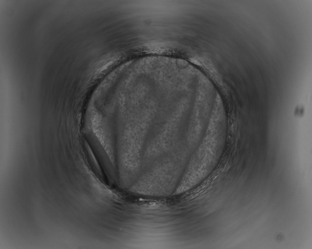 X0000098070066200804251448