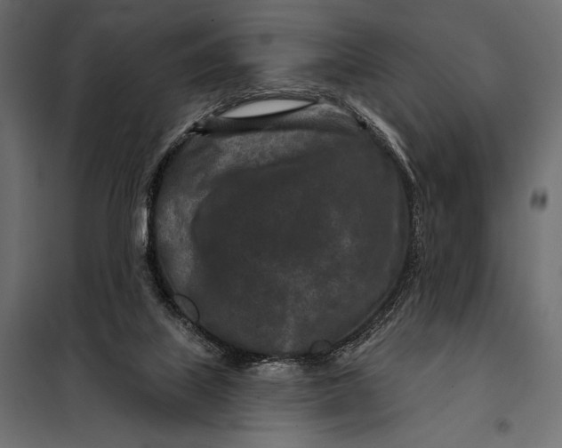 X0000098070067200804251448