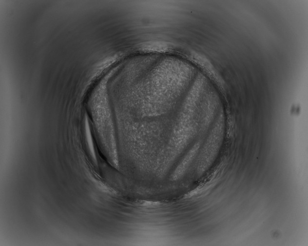 X0000098070068200804251448