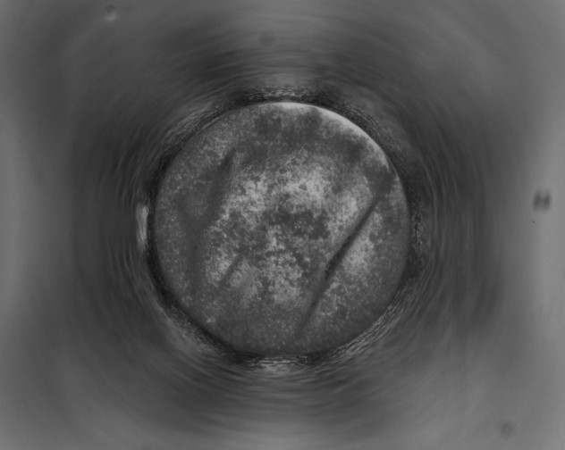 X0000098070070200804251448