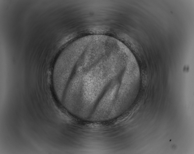 X0000098070071200804251448