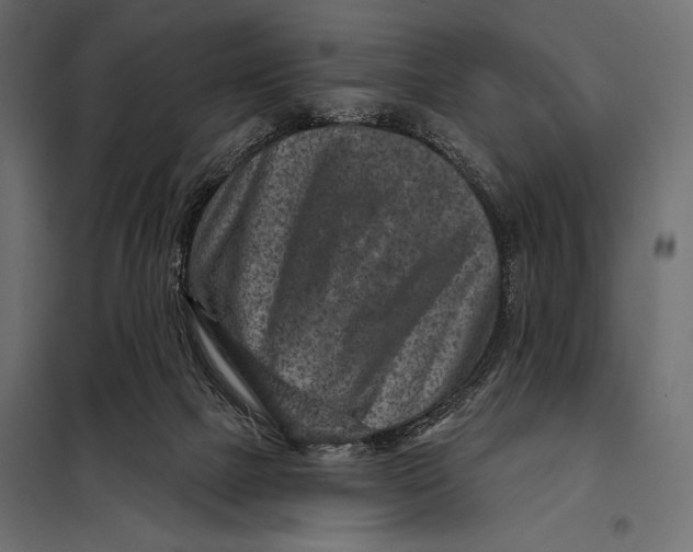 X0000098070073200804251448