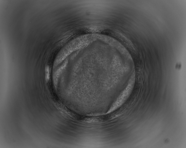 X0000098070075200804251448