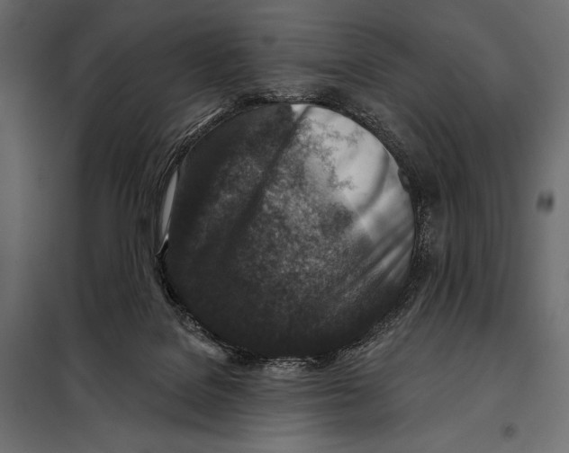 X0000098070076200804251448