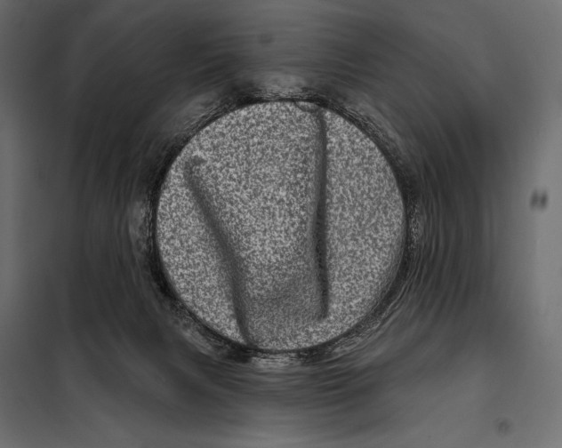 X0000098070079200804251448