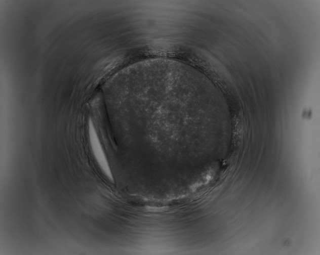 X0000098070080200804251448