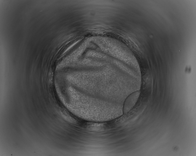 X0000098070081200804251448