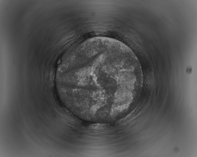 X0000098070082200804251448