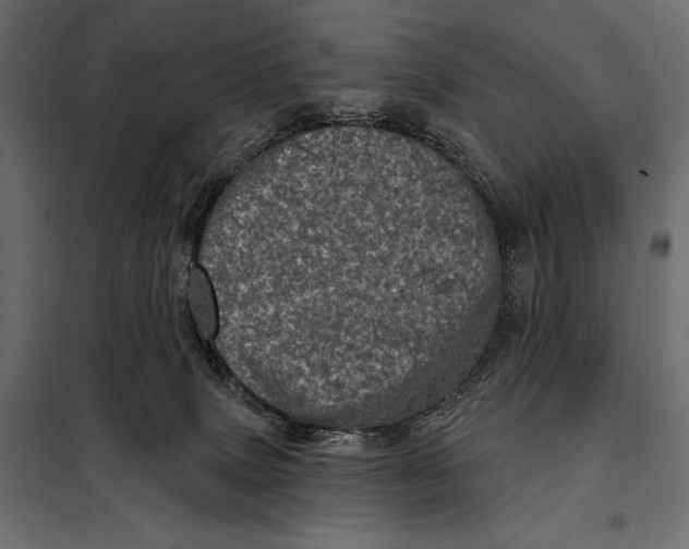 X0000098070083200804251448