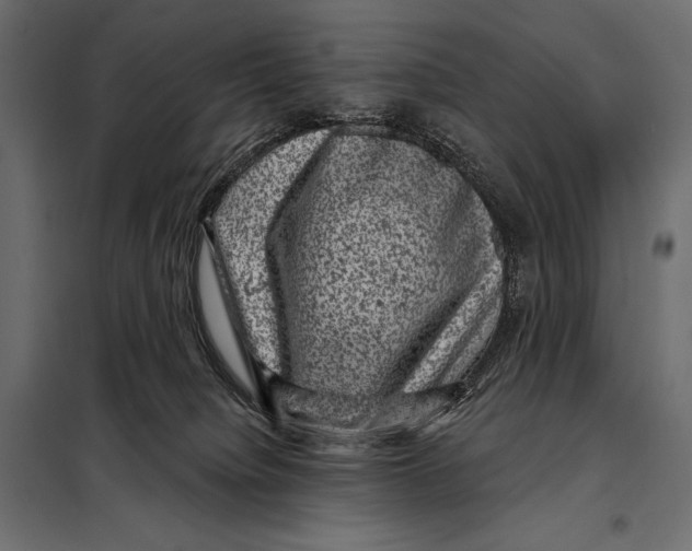 X0000098070084200804251448