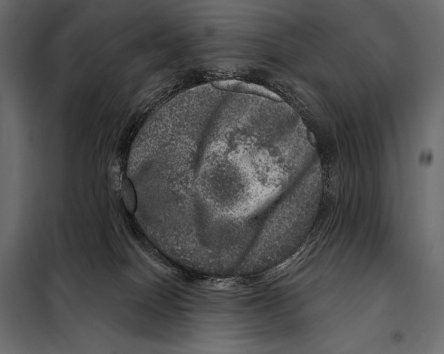 X0000098070086200804251448