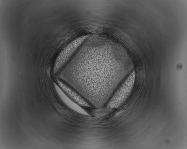 X0000098070088200804251448