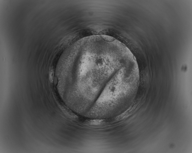 X0000098070090200804251448