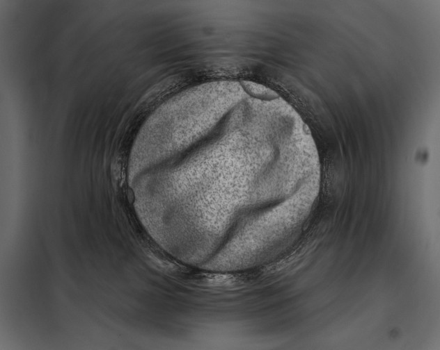 X0000098070091200804251448