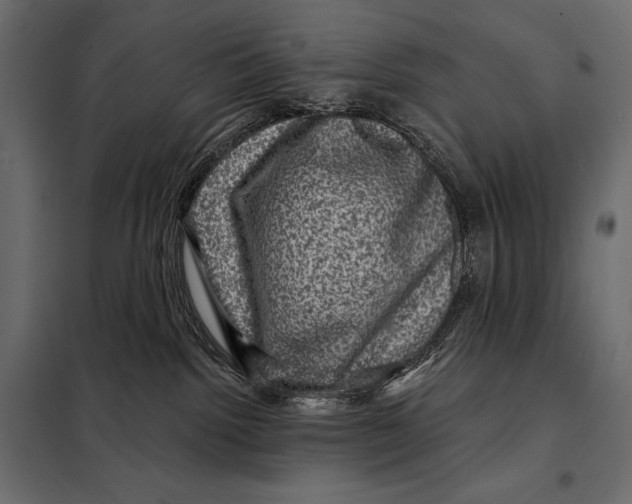 X0000098070092200804251448