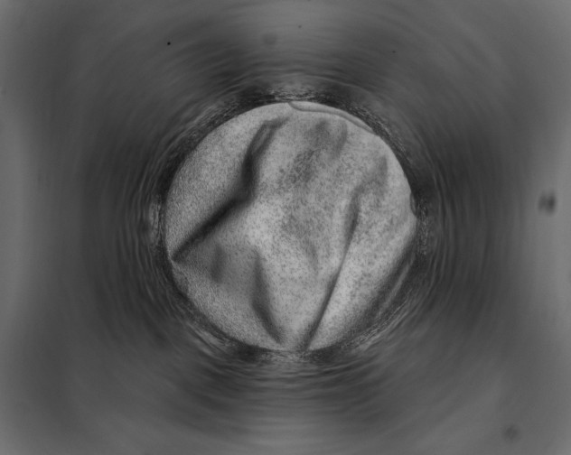 X0000098070093200804251448