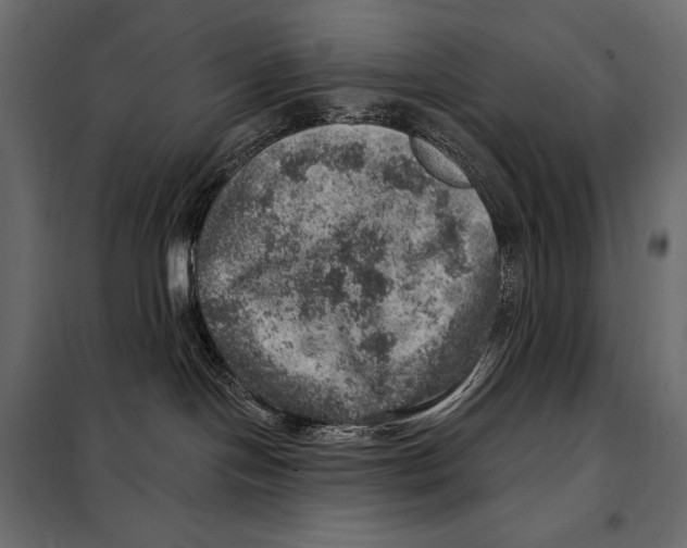 X0000098070094200804251448