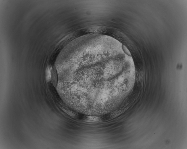 X0000098070095200804251448