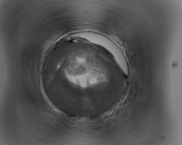 X0000098070097200804251448