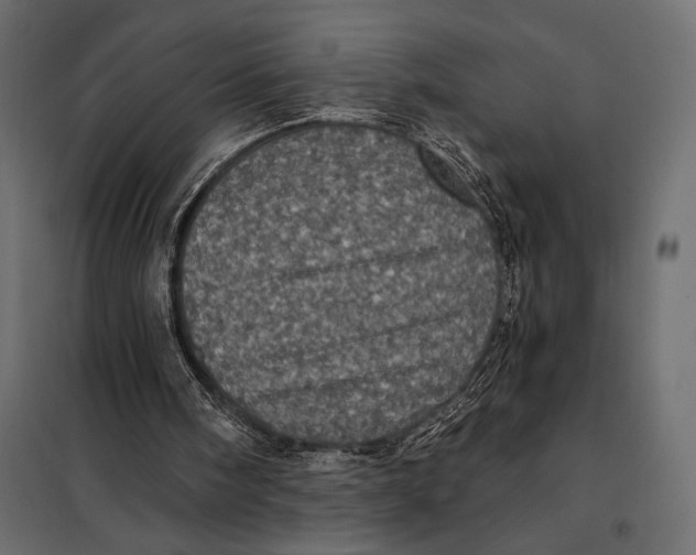 X0000098070098200804251448