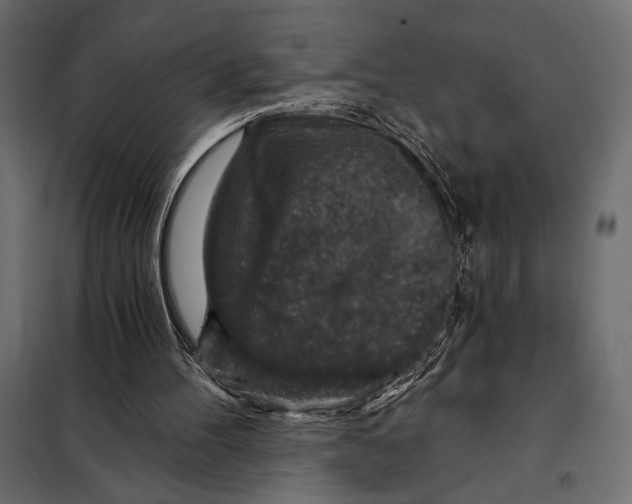 X0000098070100200804251447