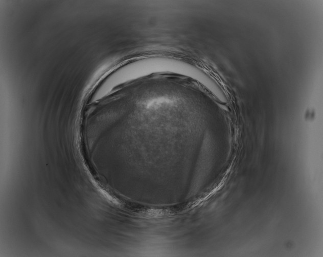 X0000098070101200804251447