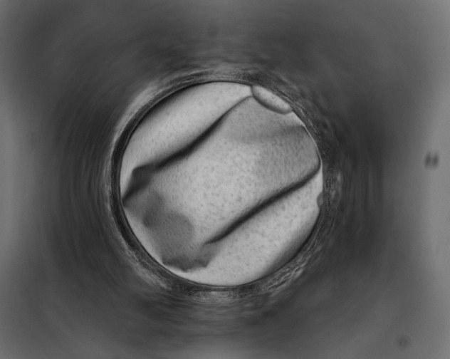 X0000098070102200804251447