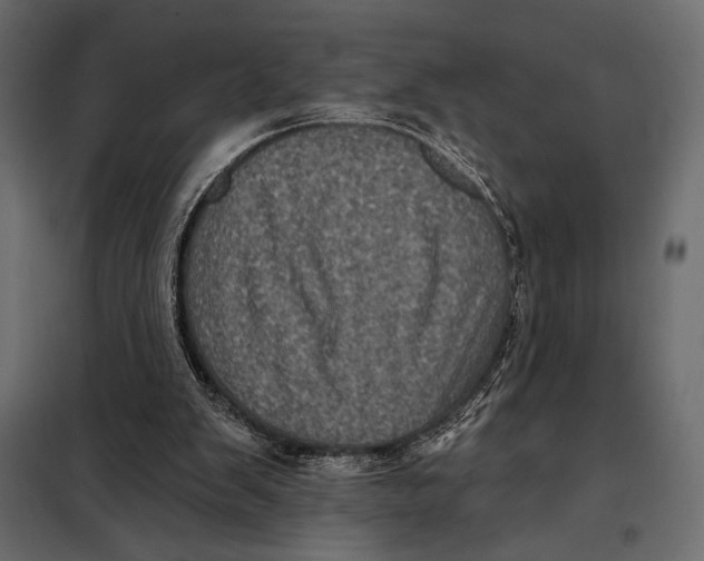 X0000098070103200804251447